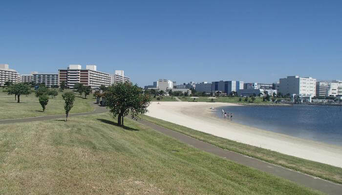 大森ふるさとの浜辺公園の画像