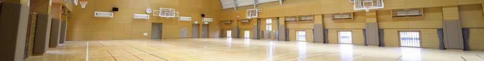 Gymnasium